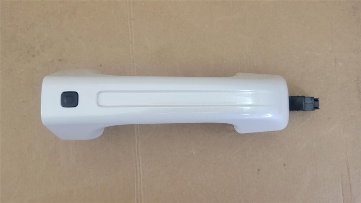 2019-2024 Dodge Ram 1500 Front Passenger or Driver Exterior