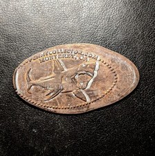 Monterey CA GREAT WHITE SHARK Swimming - Press Coin Enlongate Penny Souvenir