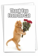 9116 Thank You From The Cat Thank You Card - Funny Greeting Cards