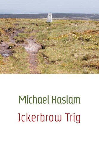 Thumbnail - Michael Haslam Ickerbrow Trig (taschenbuch)