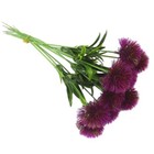 Bild 6 von 50