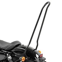 Sissybar FüR Harley Davidson Sportster 883 Iron 09-20 Craftride Tampa XL Schwarz