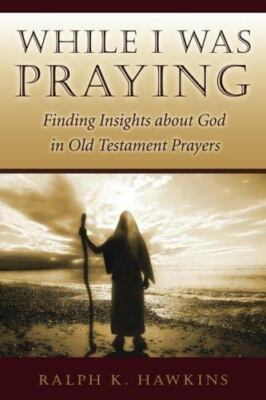 While I Was Praying: Finding Insights ab- 9781573124638, paperback, Hawkins, new
