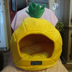 nandog pineapple bed