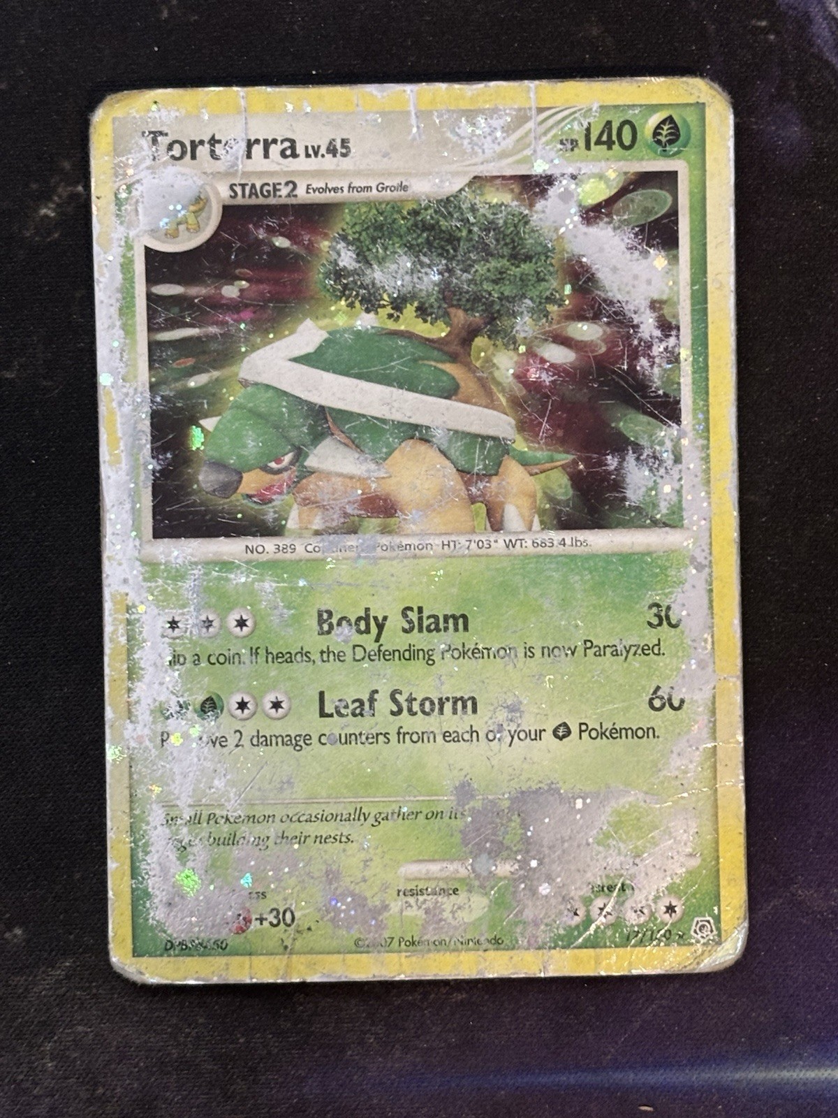Torterra 17/130 HOLO RARE Pokemon Diamond & Pearl Base Set Gen 4 Card DMG 2007