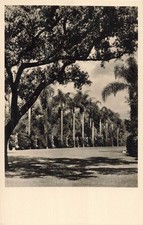 Huntington Library San Marino California The Court RPPC Postcard c1940s