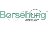 Kolbenringsatz Borsehung B10368 FüR Vw Golf 7 5G1 BQ1 BE1 BE2 Passat B8 3G2 CB2