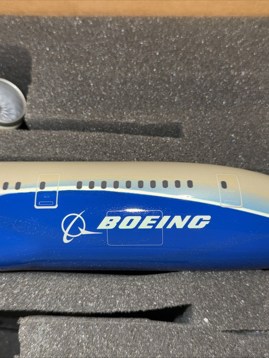 PACMIN BOEING 787-8 DREAMLINER EXECUTIVE 1:100 AIRPLANE NEW | eBay