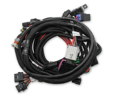 Holley EFI Ti-VCT Main Harness For 2011-2017 Ford Coyote Engines - 558-122