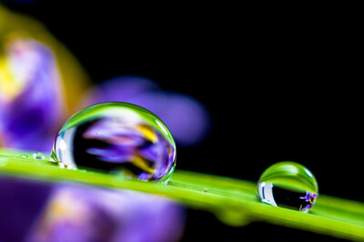 Close-Up Photo Of Dewdrops On Green Leaf Wall Art Home Decor - POSTER 20x30