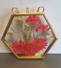 Wall Art Dried Pressed Real Flowers in Glass frame hexagon 3.5 in handmade gift