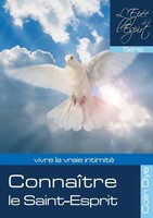 Colin Dye | ConnaîTre Le Saint-Esprit | Taschenbuch | FranzöSisch (2016)
