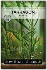 Sow Right Seeds - French Tarragon for Planting - Non-GMO Heirloom green
