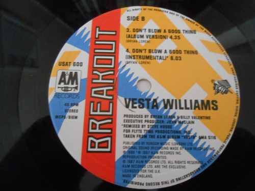 Vesta Williams - "Don't Blow A Good Thing / You Make Me Want To Love" 12" Single - Imagen 3 de 4