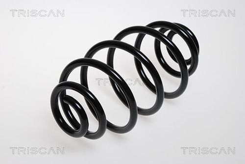Triscan 8750 24051 Fahrwerksfeder-image