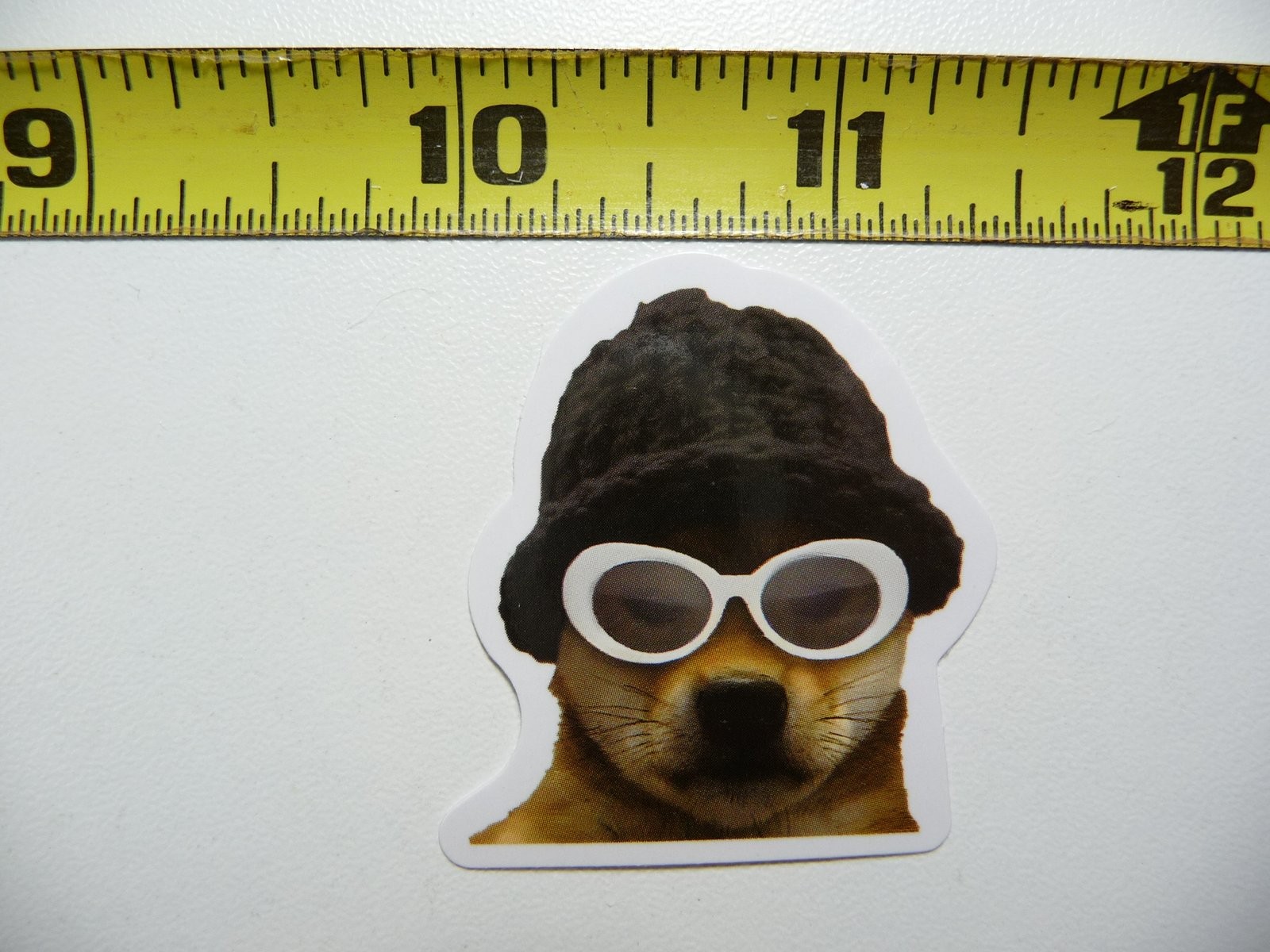 Cute Funny Snob Dog Sticker Decal AX169 Small Pet Lover Fun