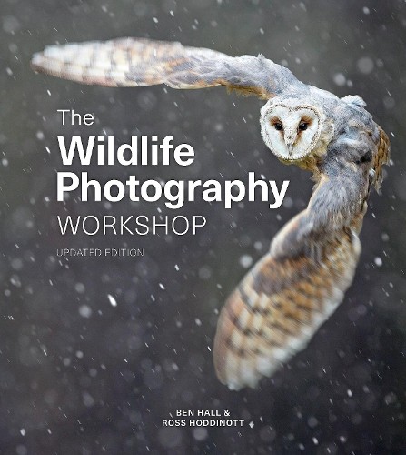 Ross Hoddinott Ben Hall Wildlife Photography Workshop, The (Tascabile)