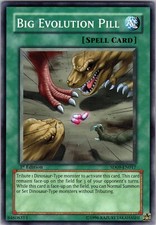 Yu-Gi-Oh TCG Big Evolution Pill SD09-EN017 1st Edition Regular Common Card NM