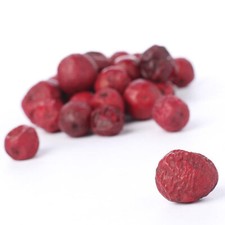 Approximatley 170 Dried Look Mixed Red Cranberries for Decorating