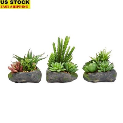 Artificial Succulent Plant Set of 3 Indoor Faux Stone Pots No Maintenance Decor