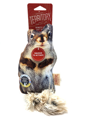 Territory Floppy Squirrel Squeaky Dog Fetch Toy 11''