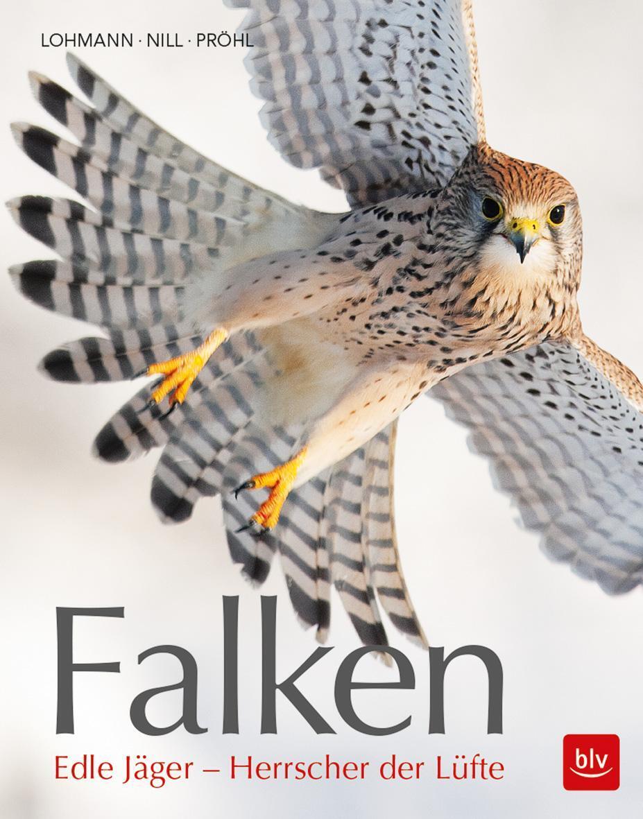 Thumbnail - Falken | Edle Jäger - Herrscher Der Lüfte | Michael Lohmann | Deutsch