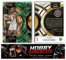 2024 Panani Select WNBA #131 Crystal Dangerfield Green Cracked Ice