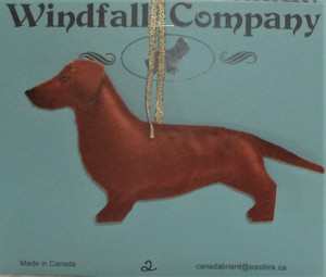 red smooth dachshund