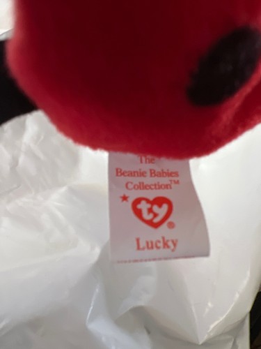 Beanie baby lucky the lady bug made in 1995/1993 - Picture 4 of 6