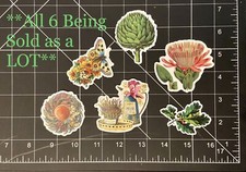   Plants  Things  LOT of 6 Stickers flowers, leaves, butterfly, green 