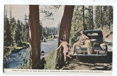 Postcard Trout Fishing Streams Cascade Mountains Oregon OR 