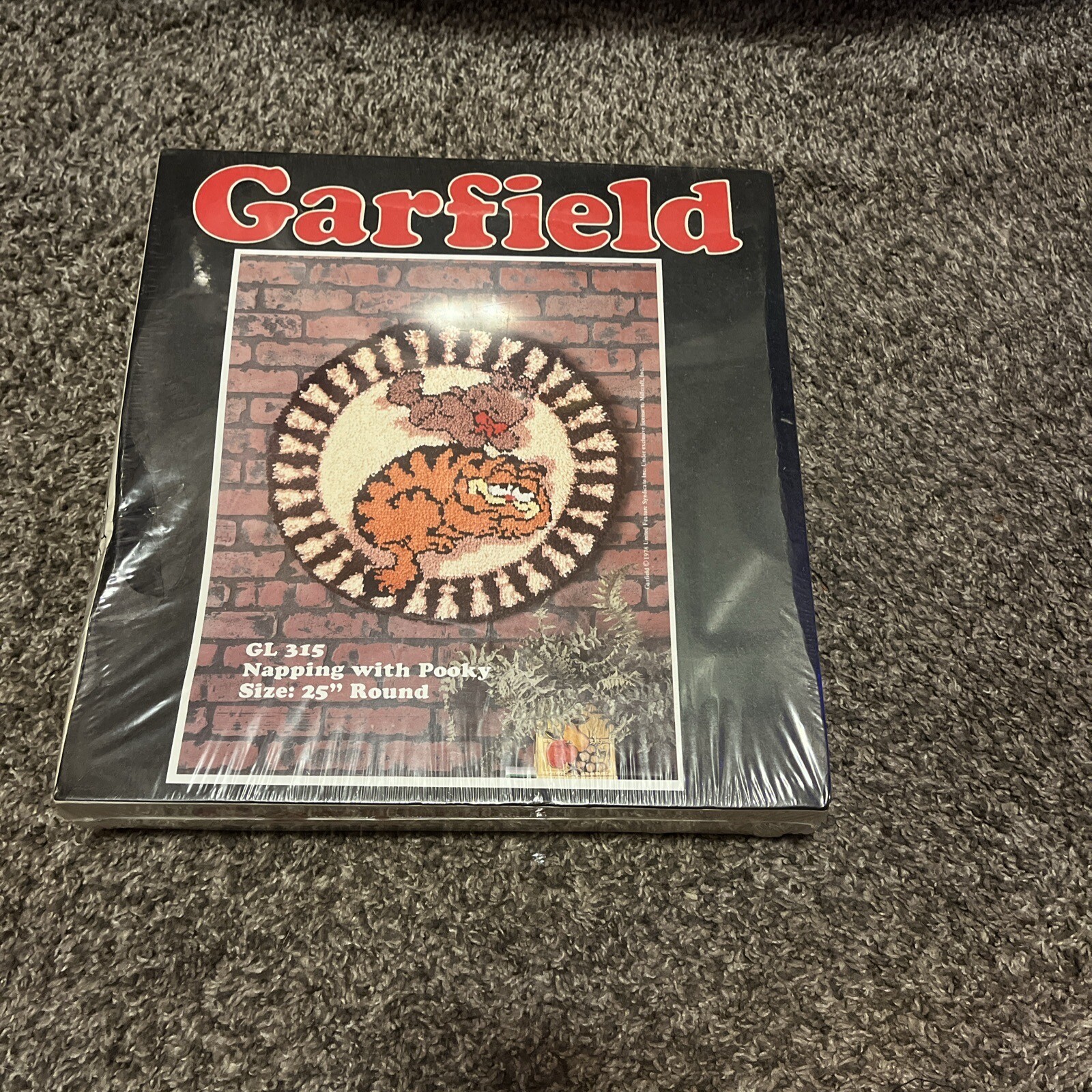 Vintage Garfield Napping With Pooky 25 Inch Round Gl 315 Latch Hook Rug Kit Newm eBay