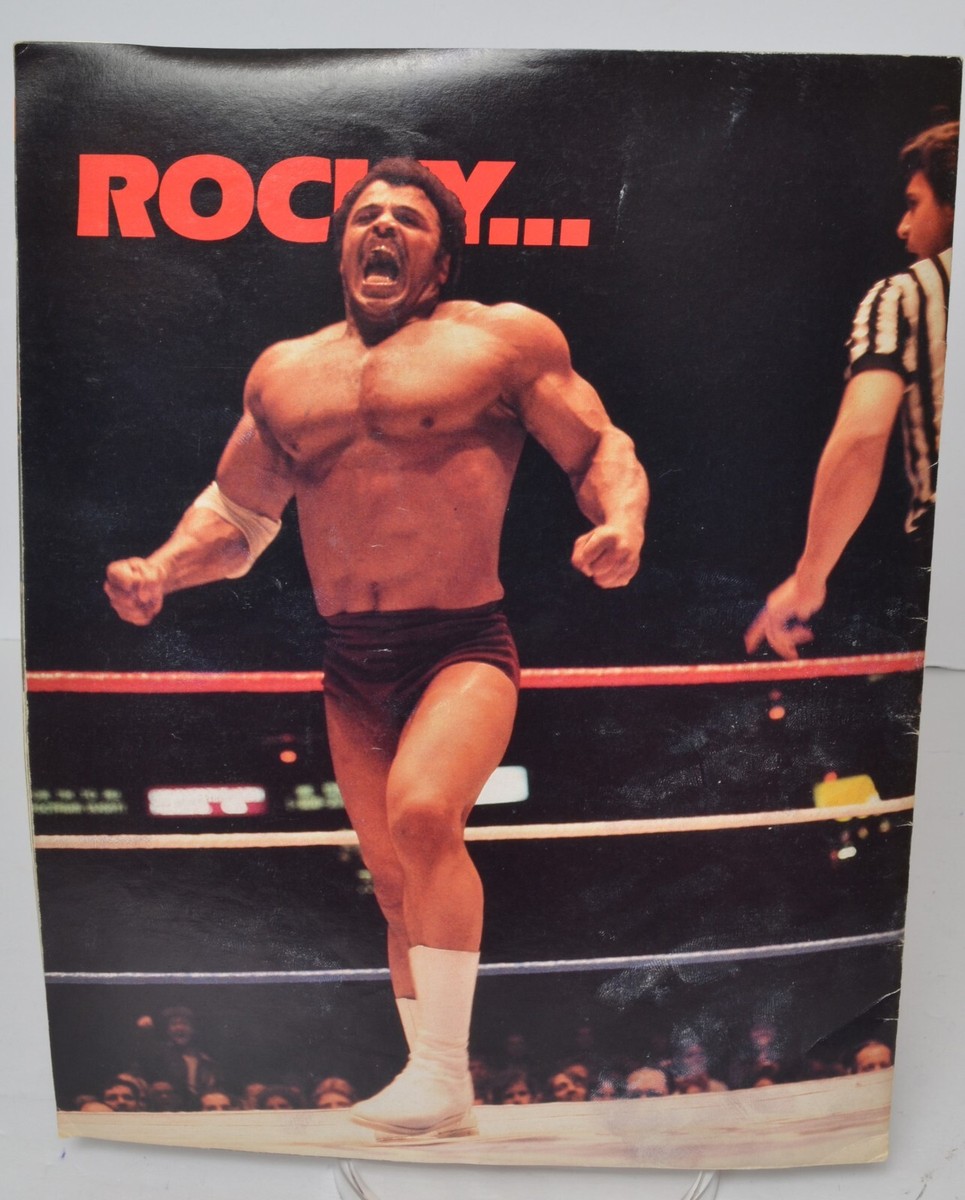スポーツ・フィットネス WORLD WRESTLING ENTERTAINMENT 2003 DVD スポーツ・フィットネス WORLD WRESTLING ENTERTAINMENT 2003
