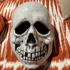 Don Post Studios Skull Overhead Latex Mask - One Size - Trick Or Treat Studios
