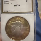 2006 American Silver Eagle 70 Rainbow Coloring in PCI Holder