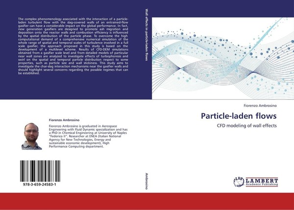 Particle-Laden Flows Fiorenzo Ambrosino-image
