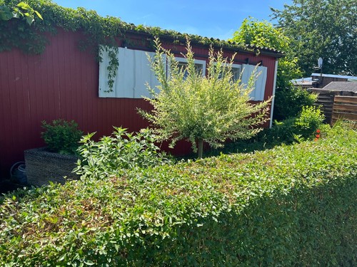 Kleingarten am Neustädter See In Magdeburg zu verkaufen - Bild 5 von 24
