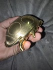 Foto 2 di 7