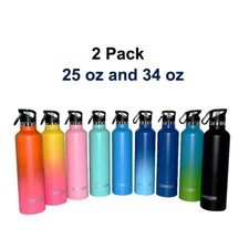 2 Pack Stainless Steel Vacuum Insulated Double Wall Water Bottle w/3 Lid, Straws
