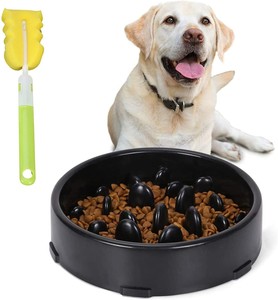 maze dog dish