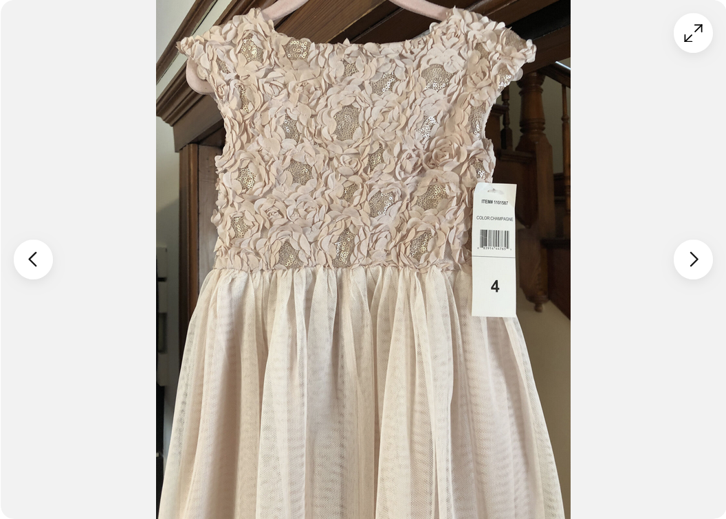 white christmas dresses Donelli Mini Dress Champagne main image 0