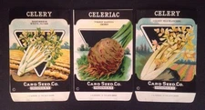 1930-40s Litho Antique Vintage Seed Packet Celeriac & Celery Card Seed Co Pack