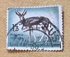 South Africa Postage Stamp Springbok Antelope 1950’s 1’3 Used