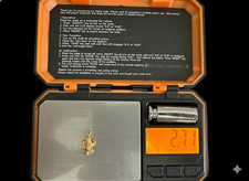 Incredible 2.71 Gram Gold Nugget from Alaska's Legendary Jack Wade Region
