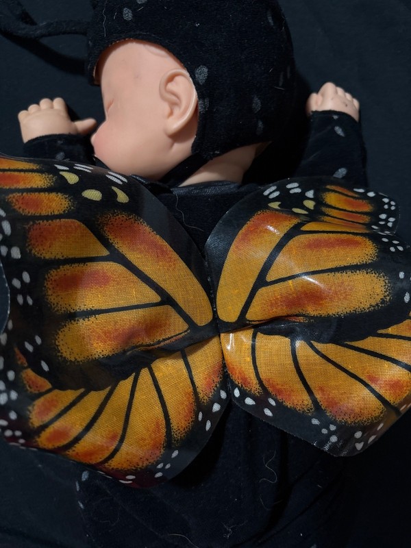 Vintage Anne Geddes Monarch Butterfly Collectors Baby Doll 16" asleep