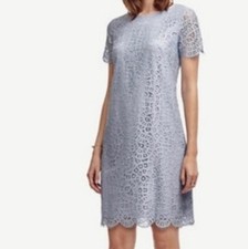 NWT Ann Taylor Periwinkle Lace Overlay Shift Dress