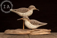 Spotted Sandpipers | Hand-Carved Anderlik Sculpture, Signed