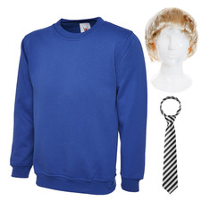 ADULTS INBETWEENER JAY COSTUME SCHOOL FANCY DRESS WIG TIE BLUE BRITISH JUMPER