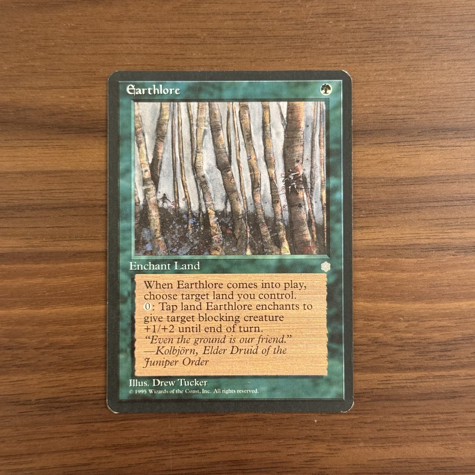 Earthlore LP Ice Age 1995 Magic the Gathering Card MTG TCG
