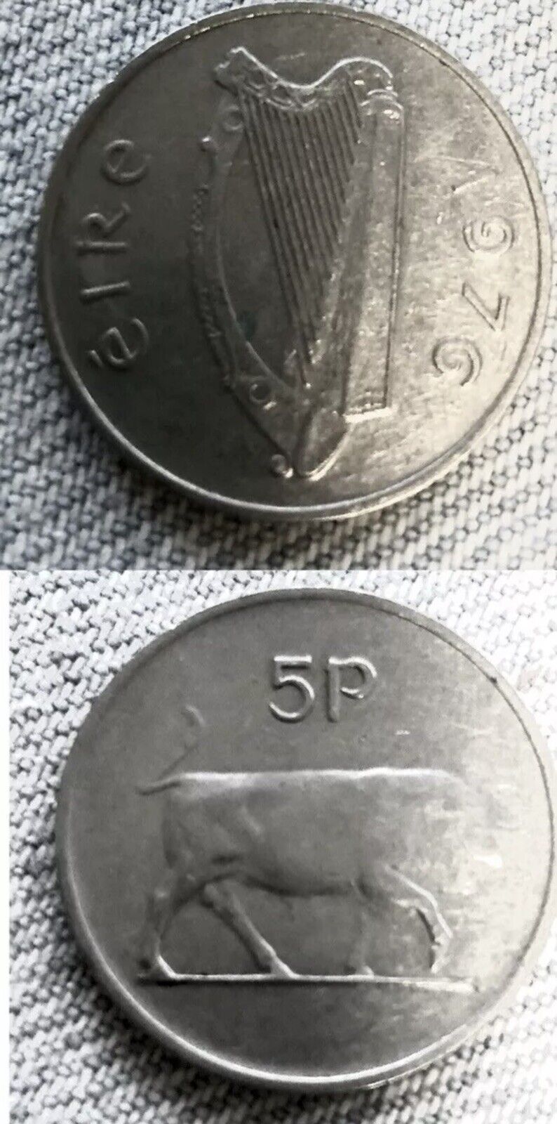 Foto 8 di 11